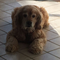 Homily:  Sowing Seeds with Unconditional Love