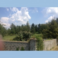 Homily: Seeing through the weeds, growing and transforming ourselves