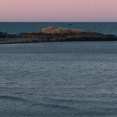 Not Your Average Homilies From Deacon Joe Harrington