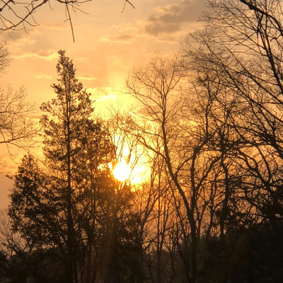 Not Your Average Homilies From Deacon Joe Harrington