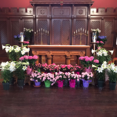 Not Your Average Homilies From Deacon Joe Harrington