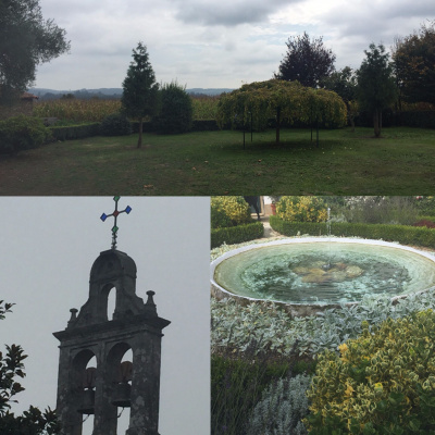 Not Your Average Homilies From Deacon Joe Harrington