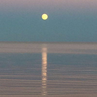 Not Your Average Homilies From Deacon Joe Harrington