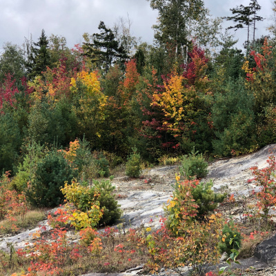 Not Your Average Homilies From Deacon Joe Harrington