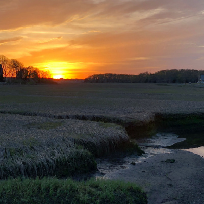 Not Your Average Homilies From Deacon Joe Harrington