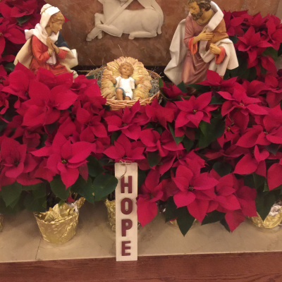 Not Your Average Homilies From Deacon Joe Harrington