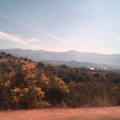 Not Your Average Homilies From Deacon Joe Harrington