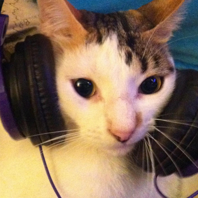 Más Cosas De El Recuento