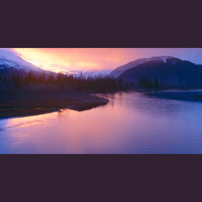 #wizardnation Podcasting Network