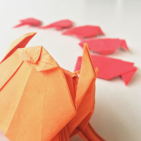 0040 - El mono y el cangrejo