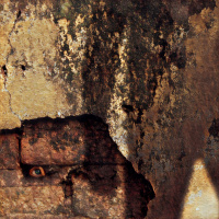 0043 - El gran Yaguarín contra el pájaro blanco