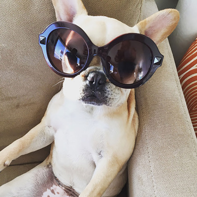 Kristi Lee Uninterrupted