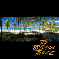 BROmuda Triangle - S01E02 - Vacation Recap