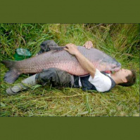 TSRP #250: Floppy Fish Fight