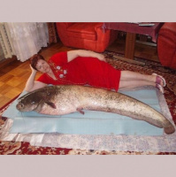 TSRP #394: Captain Tangent