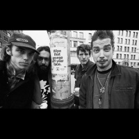 TSRP #447: Badmotorfinger