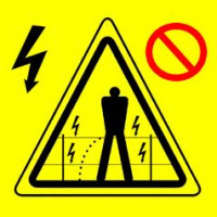 TSRP #204: Reality Hits You Hard Bro!