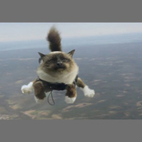 TSRP #307: Unfortunate Consequences