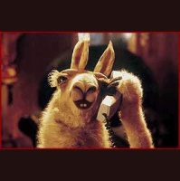 Episode #485 Throwback