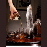 Beer Goggles - Episode #94