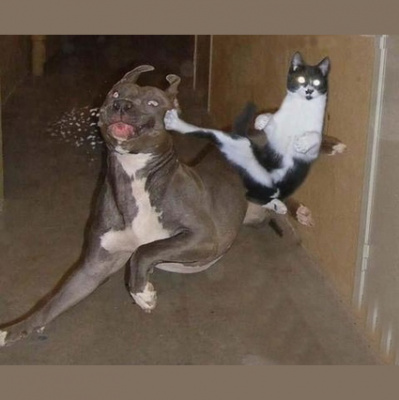 Ear Goggles With Jeremy Aaron And Stacy