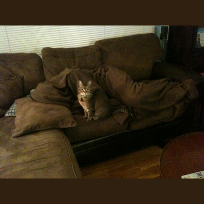 Ear Goggles With Jeremy Aaron And Stacy