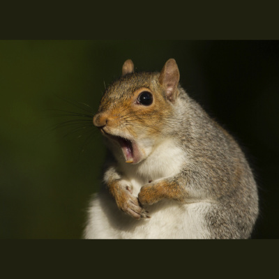 Ear Goggles With Jeremy Aaron And Stacy