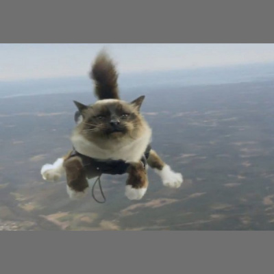 Ear Goggles With Jeremy Aaron And Stacy