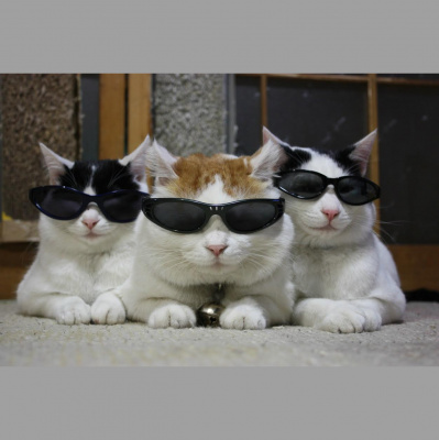 Ear Goggles With Jeremy Aaron And Stacy