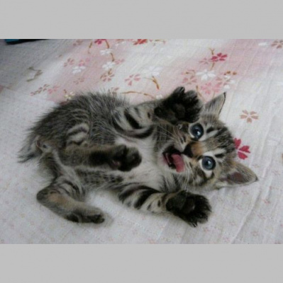 Ear Goggles With Jeremy Aaron And Stacy