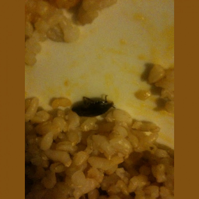 Ear Goggles With Jeremy Aaron And Stacy