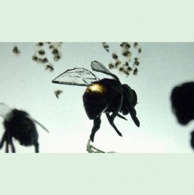 Ear Goggles With Jeremy Aaron And Stacy