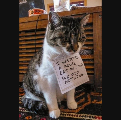 Ear Goggles With Jeremy Aaron And Stacy