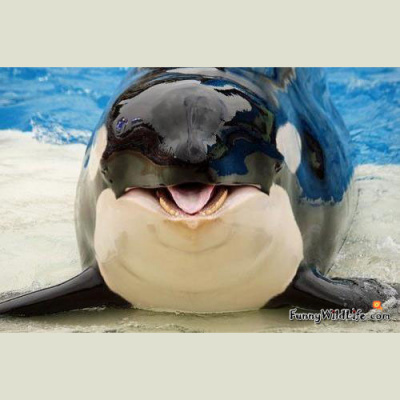 Ear Goggles With Jeremy Aaron And Stacy