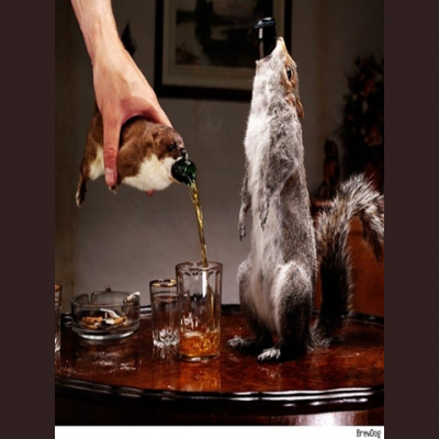 Ear Goggles With Jeremy Aaron And Stacy