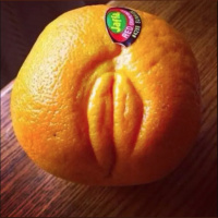 Episode 68: Pocket Bussy 