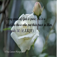 On a Mission as a Missionary - Pauls 1st Missionary Journey