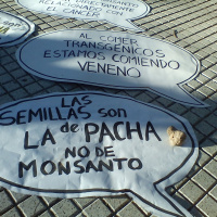 Ley de semillas | Ecofeminismos