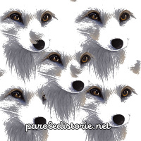 La giovane Yelina e le volpi bianche. Una fiaba di Gaetano Marino (da otto anni in su)