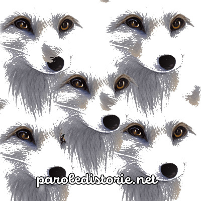 Parole Di Storie - Fiabe