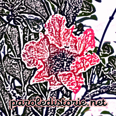 Parole Di Storie - Fiabe