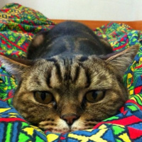 Notes from the House Spirits by Lucy Wood Analysis