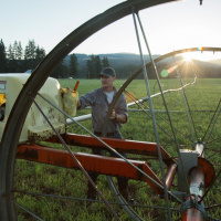 Washington Cattlemen and PLF Challenge ESA Overreach