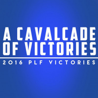 A Cavalcade Of Victories: 2016 Year In Review