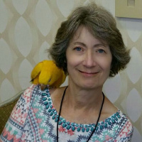 Time to free the golden parakeet