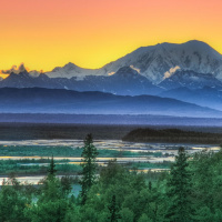 Stepping Forward to Defend the Congressional Review Act