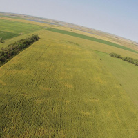 PLF Challenges The Feds’ Rigged Scheme For Discovering Wetlands