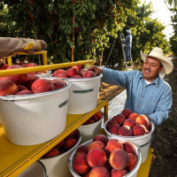 California Farm Family Wages Litigation Fight For Accountability In Government