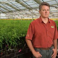 The climactic conclusion of Duarte Nurserys case