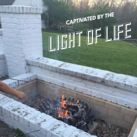 KristieSheanshang Captivated By Light of Life